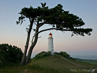 Leutturm auf der Insel Hiddensee (Quelle: Wikipedia, Foto: T. Mangner)